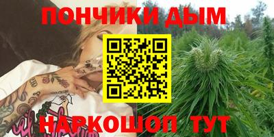 шишки Татарск