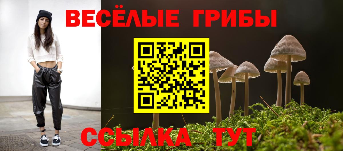 продажа наркотиков  Вход с VPN  Новороссийск  Галлюциногенные грибы Psilocybe  Галлюциногенные грибы Psilocybine cubensis 